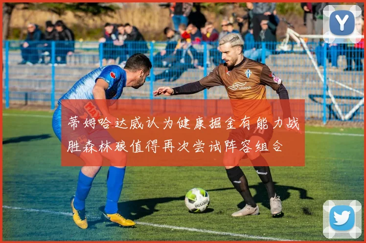蒂姆哈达威认为健康掘金有能力战胜森林狼值得再次尝试阵容组合